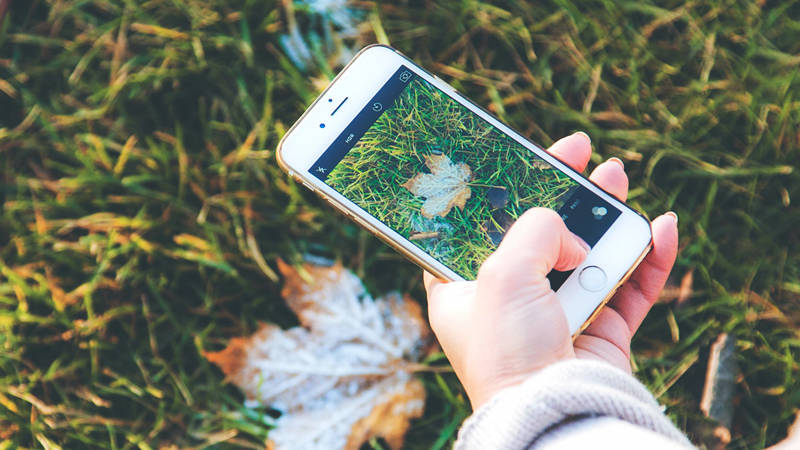 Someone taking a photo of a fallen leaf with their mobile phone