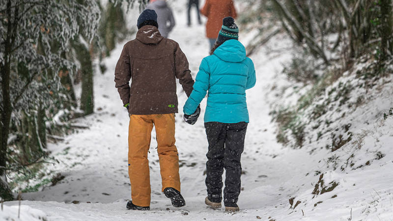 Two people holding hand walking through a snowy wood